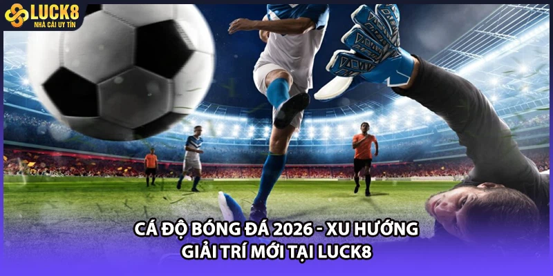 Cá Độ Bóng Đá 2026 - Xu Hướng Giải Trí Mới Tại LUCK8
